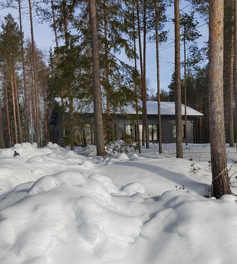 Willa Norvalisma Rovaniemi Zewnętrze zdjęcie